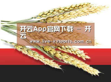 开云App官网下载 - 开云