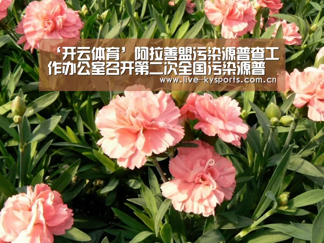 ‘开云体育’阿拉善盟污染源普查工作办公室召开第二次全国污染源普查工作会  深入推