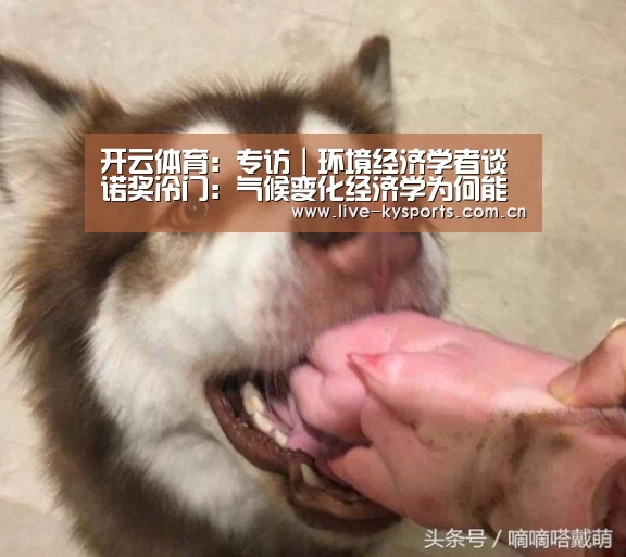 开云体育:专访|环境经济学者谈诺奖冷门:气候变化经济学为何能获诺贝尔经济学奖(图3) 开云体育下载