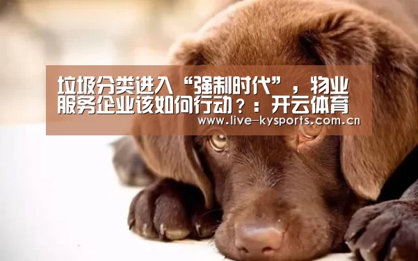 开云App下载