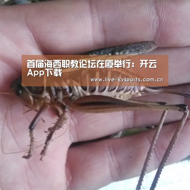 首届海西职教论坛在厦举行:开云App下载(图1) 开云App下载